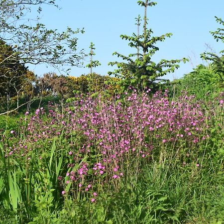 Shepherd'S Loch Glamping Turriff Екстериор снимка